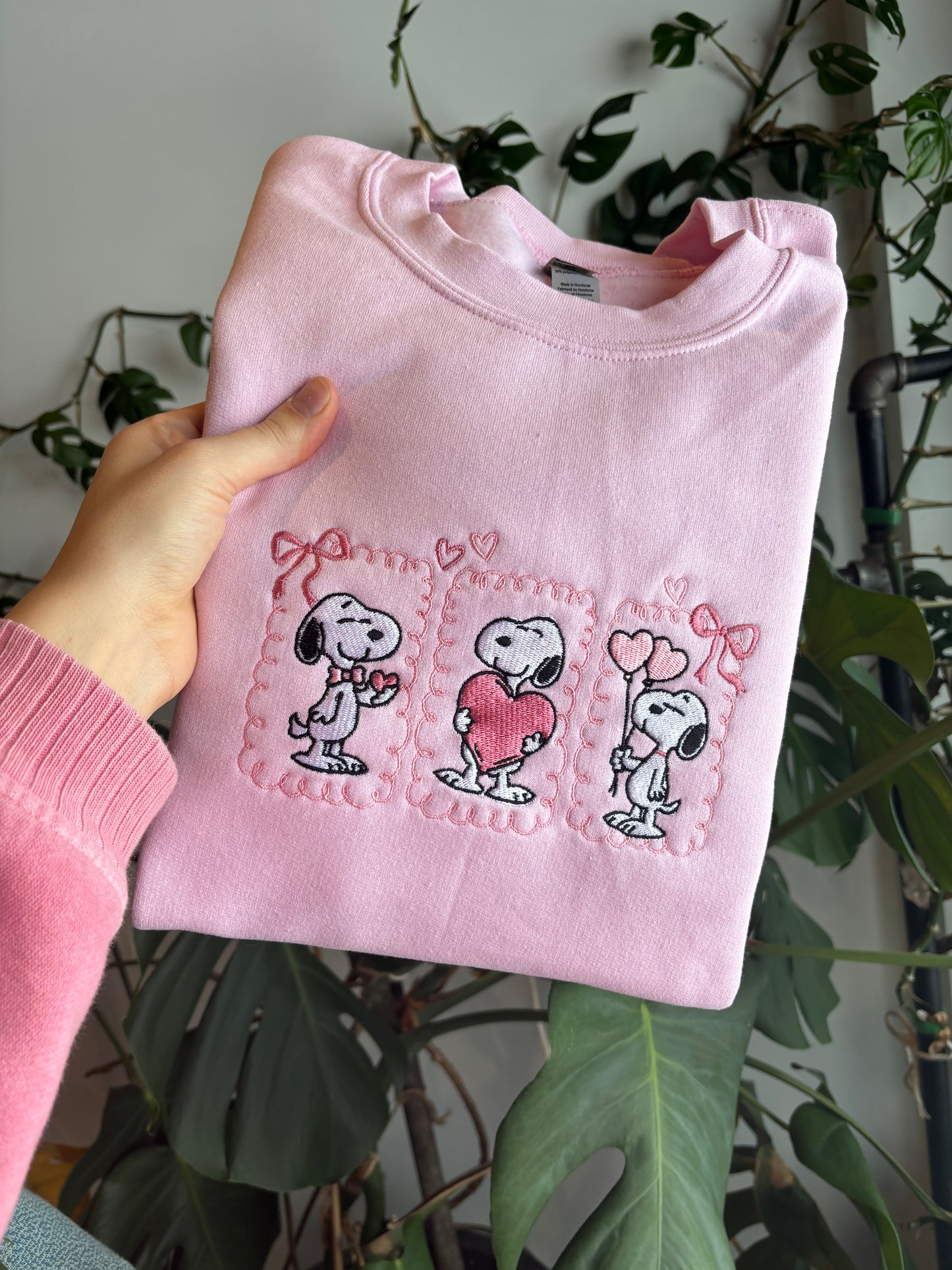 Snoopy's Valentine's